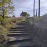 Düne im Allerpark