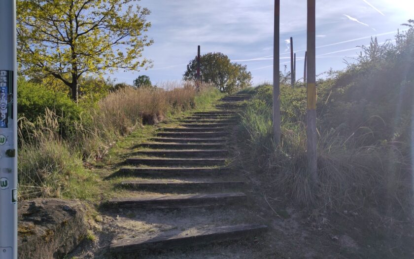 Düne im Allerpark
